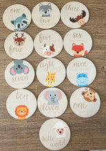 Milestone Baby Discs