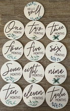 Milestone Baby Discs